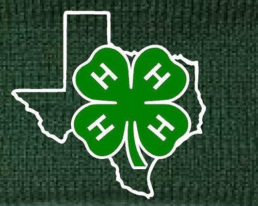 4-H Fishing Shirt with embroidery logo