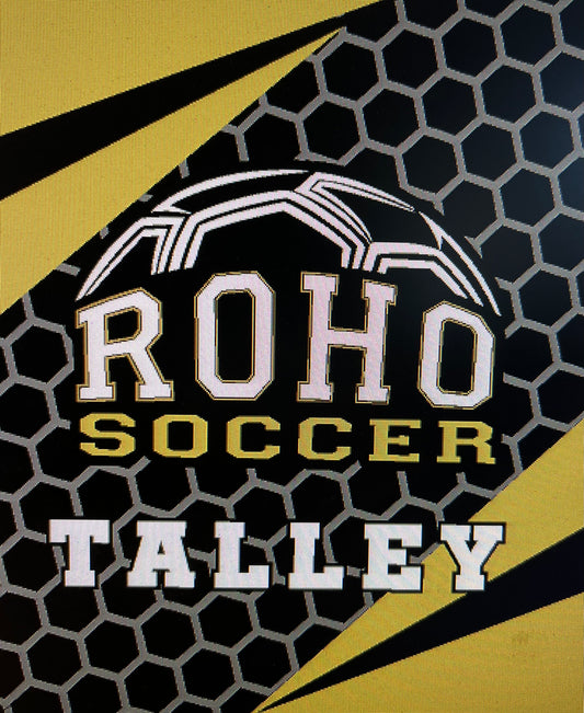 ROHO SOCCER minky Blankets
