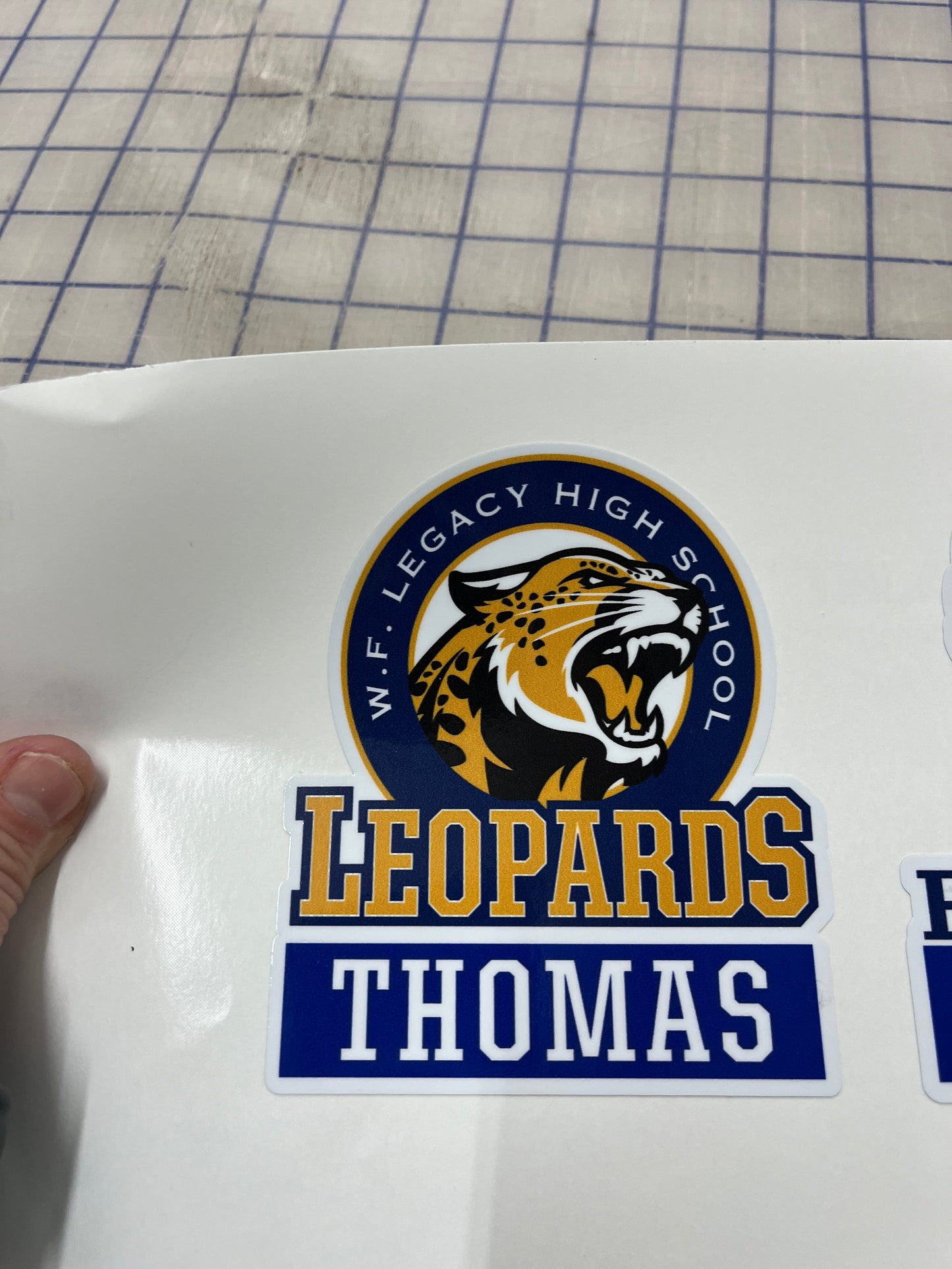 Legacy Leopards Decals