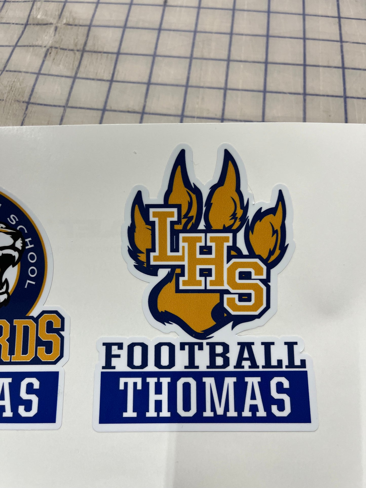 Legacy Leopards Decals