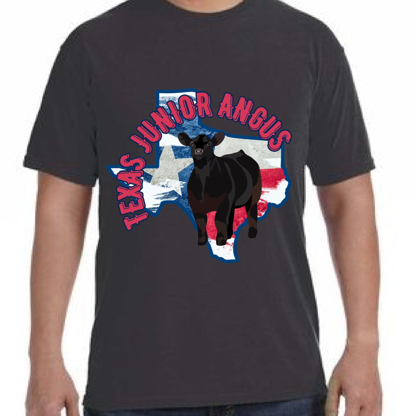 Flag State-Comfort Colors Brand