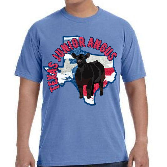 Flag State-Comfort Colors Brand